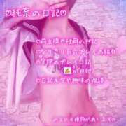 ヒメ日記 2026/05/19 05:48 投稿 純奈(じゅんな) Salon du M-えっちなお姉さんのM性感デリバリー-五反田店