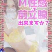 ヒメ日記 2026/08/06 01:28 投稿 純奈(じゅんな) Salon du M-えっちなお姉さんのM性感デリバリー-五反田店