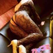 ヒメ日記 2025/05/12 01:05 投稿 凪(なぎ) Salon du M-えっちなお姉さんのM性感デリバリー-五反田店