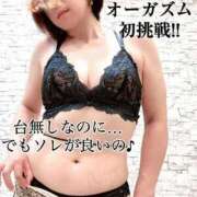 ヒメ日記 2025/09/14 23:58 投稿 凪(なぎ) Salon du M-えっちなお姉さんのM性感デリバリー-五反田店