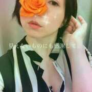 ヒメ日記 2025/12/06 20:28 投稿 凪(なぎ) Salon du M-えっちなお姉さんのM性感デリバリー-五反田店