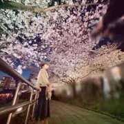 ヒメ日記 2026/04/06 20:38 投稿 凪(なぎ) Salon du M-えっちなお姉さんのM性感デリバリー-五反田店