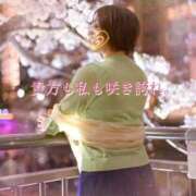 ヒメ日記 2026/04/06 21:38 投稿 凪(なぎ) Salon du M-えっちなお姉さんのM性感デリバリー-五反田店