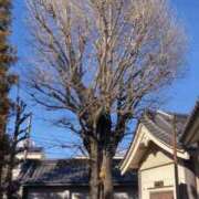 ヒメ日記 2025/02/14 08:17 投稿 ゆりこ Salon du M-えっちなお姉さんのM性感デリバリー-五反田店