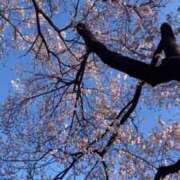 ヒメ日記 2025/03/21 14:25 投稿 ゆりこ Salon du M-えっちなお姉さんのM性感デリバリー-五反田店