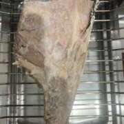 ヒメ日記 2025/03/29 21:50 投稿 紫月咲夜 五十路マダムエクスプレス船橋店(カサブランカグループ)