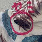 ヒメ日記 2025/08/08 10:06 投稿 紫月咲夜 五十路マダムエクスプレス船橋店(カサブランカグループ)