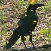 ヒメ日記 2025/09/30 14:06 投稿 紫月咲夜 五十路マダムエクスプレス船橋店(カサブランカグループ)