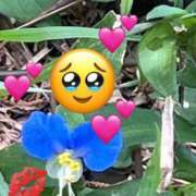 ヒメ日記 2025/09/30 17:30 投稿 紫月咲夜 五十路マダムエクスプレス船橋店(カサブランカグループ)