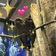 ヒメ日記 2025/10/28 11:26 投稿 紫月咲夜 五十路マダムエクスプレス船橋店(カサブランカグループ)