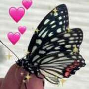 ヒメ日記 2025/12/08 19:58 投稿 紫月咲夜 五十路マダムエクスプレス船橋店(カサブランカグループ)