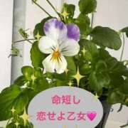 ヒメ日記 2025/12/11 12:10 投稿 紫月咲夜 五十路マダムエクスプレス船橋店(カサブランカグループ)