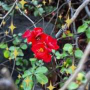 ヒメ日記 2026/01/05 19:10 投稿 紫月咲夜 五十路マダムエクスプレス船橋店(カサブランカグループ)