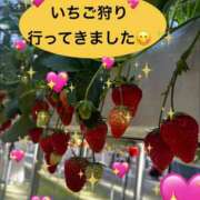 ヒメ日記 2026/01/26 09:04 投稿 紫月咲夜 五十路マダムエクスプレス船橋店(カサブランカグループ)