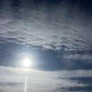 ヒメ日記 2026/02/06 10:56 投稿 紫月咲夜 五十路マダムエクスプレス船橋店(カサブランカグループ)