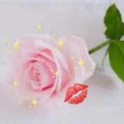 ヒメ日記 2026/02/11 10:44 投稿 紫月咲夜 五十路マダムエクスプレス船橋店(カサブランカグループ)