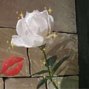 ヒメ日記 2026/02/21 18:24 投稿 紫月咲夜 五十路マダムエクスプレス船橋店(カサブランカグループ)