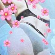 ヒメ日記 2026/04/01 11:44 投稿 紫月咲夜 五十路マダムエクスプレス船橋店(カサブランカグループ)