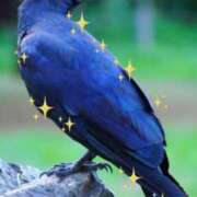 ヒメ日記 2026/04/12 14:42 投稿 紫月咲夜 五十路マダムエクスプレス船橋店(カサブランカグループ)