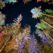 ヒメ日記 2026/04/22 21:48 投稿 紫月咲夜 五十路マダムエクスプレス船橋店(カサブランカグループ)