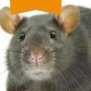 ヒメ日記 2026/04/28 15:58 投稿 紫月咲夜 五十路マダムエクスプレス船橋店(カサブランカグループ)