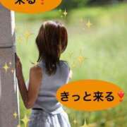 ヒメ日記 2026/06/29 12:40 投稿 紫月咲夜 五十路マダムエクスプレス船橋店(カサブランカグループ)