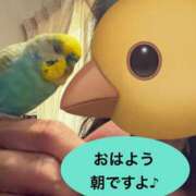 ヒメ日記 2026/08/03 09:16 投稿 紫月咲夜 五十路マダムエクスプレス船橋店(カサブランカグループ)