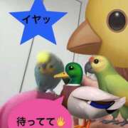 ヒメ日記 2026/09/05 12:26 投稿 紫月咲夜 五十路マダムエクスプレス船橋店(カサブランカグループ)