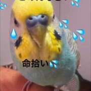 ヒメ日記 2026/10/01 14:52 投稿 紫月咲夜 五十路マダムエクスプレス船橋店(カサブランカグループ)
