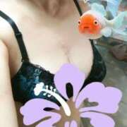 ヒメ日記 2025/03/05 07:09 投稿 星野さつき(ほしのさつき) 九州熟女　熊本店