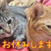 ヒメ日記 2025/05/09 17:49 投稿 姫乃もも(ひめのもも) 九州熟女　熊本店