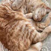 ヒメ日記 2025/08/24 17:17 投稿 姫乃もも(ひめのもも) 九州熟女　熊本店