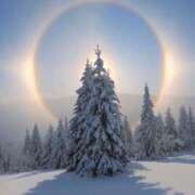 ヒメ日記 2024/12/17 05:59 投稿 如月胡桃(きさらぎくるみ) 九州熟女　熊本店