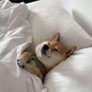 ヒメ日記 2025/01/09 00:09 投稿 如月胡桃(きさらぎくるみ) 九州熟女　熊本店