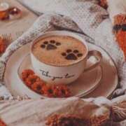 ヒメ日記 2025/01/29 07:09 投稿 如月胡桃(きさらぎくるみ) 九州熟女　熊本店