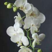 ヒメ日記 2025/03/11 23:14 投稿 如月胡桃(きさらぎくるみ) 九州熟女　熊本店