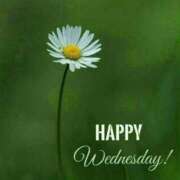 ヒメ日記 2025/03/12 06:39 投稿 如月胡桃(きさらぎくるみ) 九州熟女　熊本店