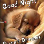 ヒメ日記 2025/04/15 00:59 投稿 如月胡桃(きさらぎくるみ) 九州熟女　熊本店