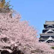 ヒメ日記 2025/04/16 22:59 投稿 如月胡桃(きさらぎくるみ) 九州熟女　熊本店