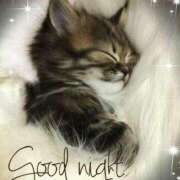 ヒメ日記 2025/04/19 02:09 投稿 如月胡桃(きさらぎくるみ) 九州熟女　熊本店