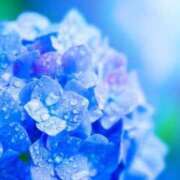 ヒメ日記 2025/06/09 06:19 投稿 如月胡桃(きさらぎくるみ) 九州熟女　熊本店