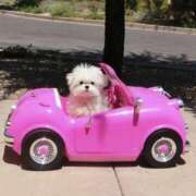 ヒメ日記 2025/06/30 17:59 投稿 如月胡桃(きさらぎくるみ) 九州熟女　熊本店