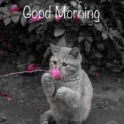 ヒメ日記 2025/07/28 08:49 投稿 如月胡桃(きさらぎくるみ) 九州熟女　熊本店