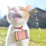 ヒメ日記 2025/08/27 23:49 投稿 如月胡桃(きさらぎくるみ) 九州熟女　熊本店