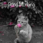 ヒメ日記 2025/09/08 08:09 投稿 如月胡桃(きさらぎくるみ) 九州熟女　熊本店