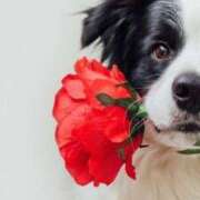 ヒメ日記 2025/09/29 01:39 投稿 如月胡桃(きさらぎくるみ) 九州熟女　熊本店