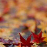 ヒメ日記 2025/10/22 22:59 投稿 如月胡桃(きさらぎくるみ) 九州熟女　熊本店