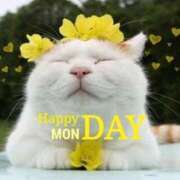 ヒメ日記 2025/12/08 13:59 投稿 如月胡桃(きさらぎくるみ) 九州熟女　熊本店