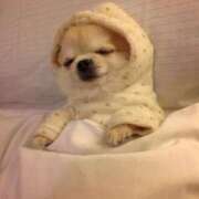 ヒメ日記 2026/01/21 23:37 投稿 如月胡桃(きさらぎくるみ) 九州熟女　熊本店