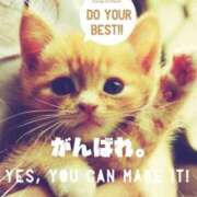 ヒメ日記 2026/02/12 08:16 投稿 如月胡桃(きさらぎくるみ) 九州熟女　熊本店